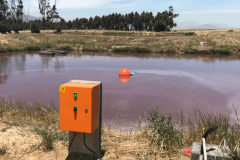 Perdeberg Winery Installation