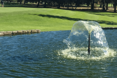 Westlake Pond After
