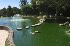 Westlake Pond Before